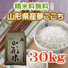 ����̴������30kg