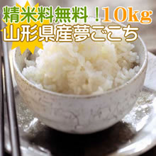 ̴10kg10